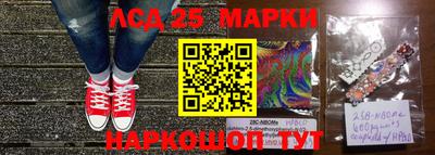 прущие грибы Краснознаменск