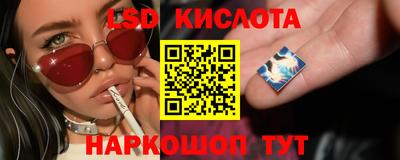 прущие грибы Краснознаменск