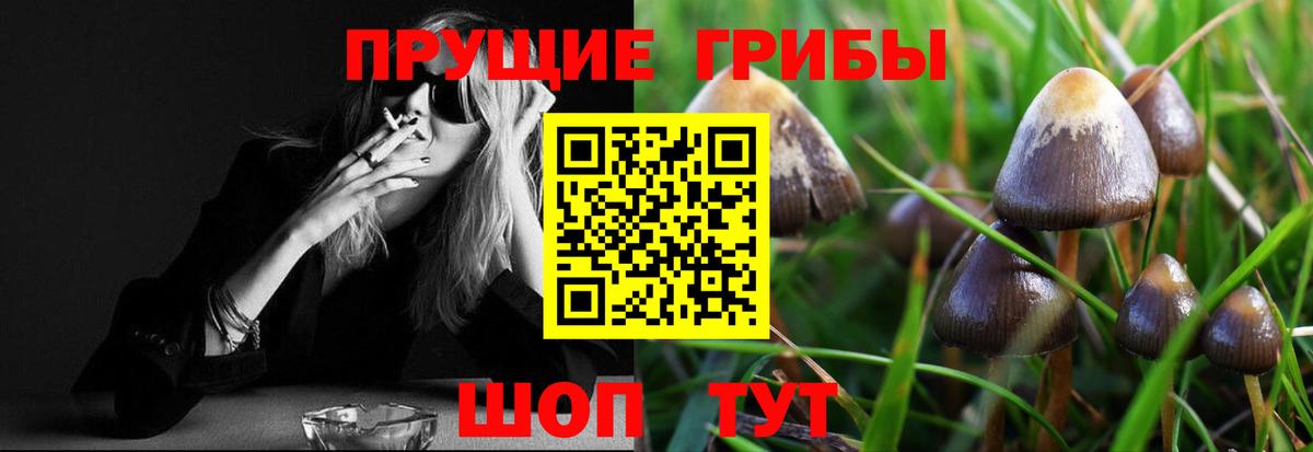 Галлюциногенные грибы ЛСД  Вход с VPN  Зеленодольск  где продают   Псилоцибиновые грибы Psilocybe 
